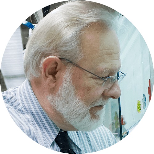 Dr David E. Nichols (USA) profile picture